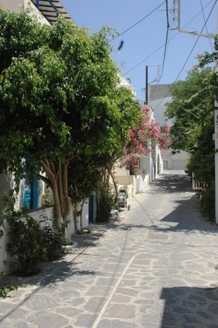 Hotel Anixis Resort Naxos City Экстерьер фото